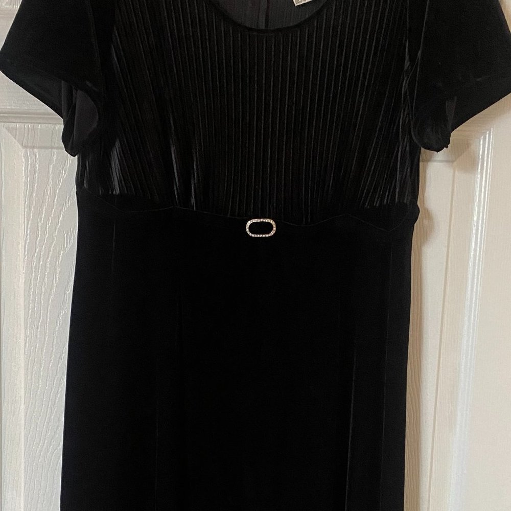 Vintage Velvet Dress